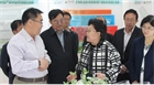 市委副書記、代市長艾麗華來我公司考察、調(diào)研